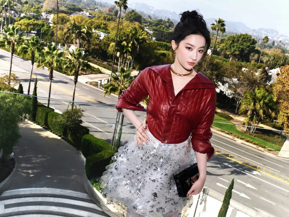 江一燕:离婚风波后的破茧重生